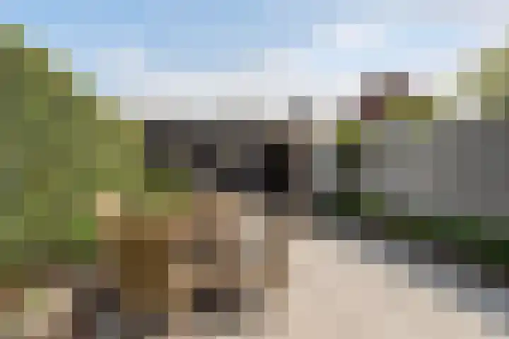 Stadspolderring 216 Dordrecht thumbnail 47