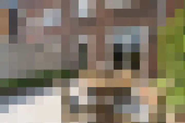 Stadspolderring 216 Dordrecht thumbnail 54