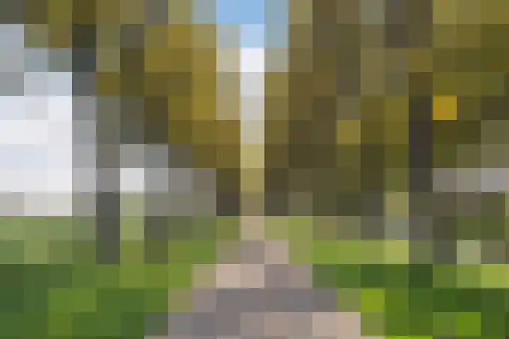Stadspolderring 216 Dordrecht thumbnail 56