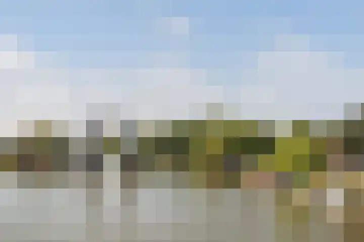 Stadspolderring 216 Dordrecht thumbnail 59