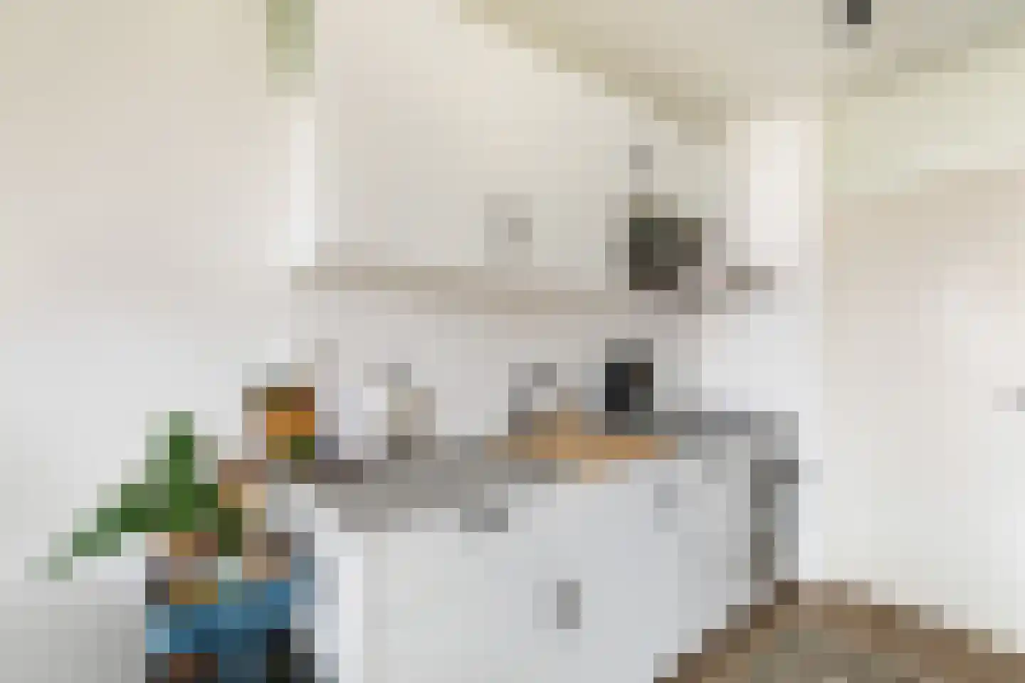 Stadspolderring 221 Dordrecht thumbnail 5