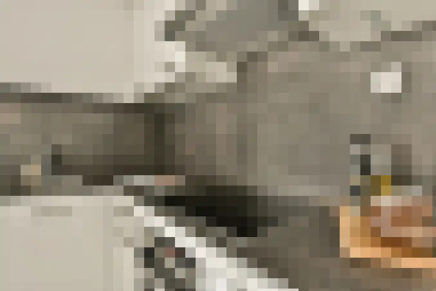 Stadsring 21 C Amersfoort thumbnail 17