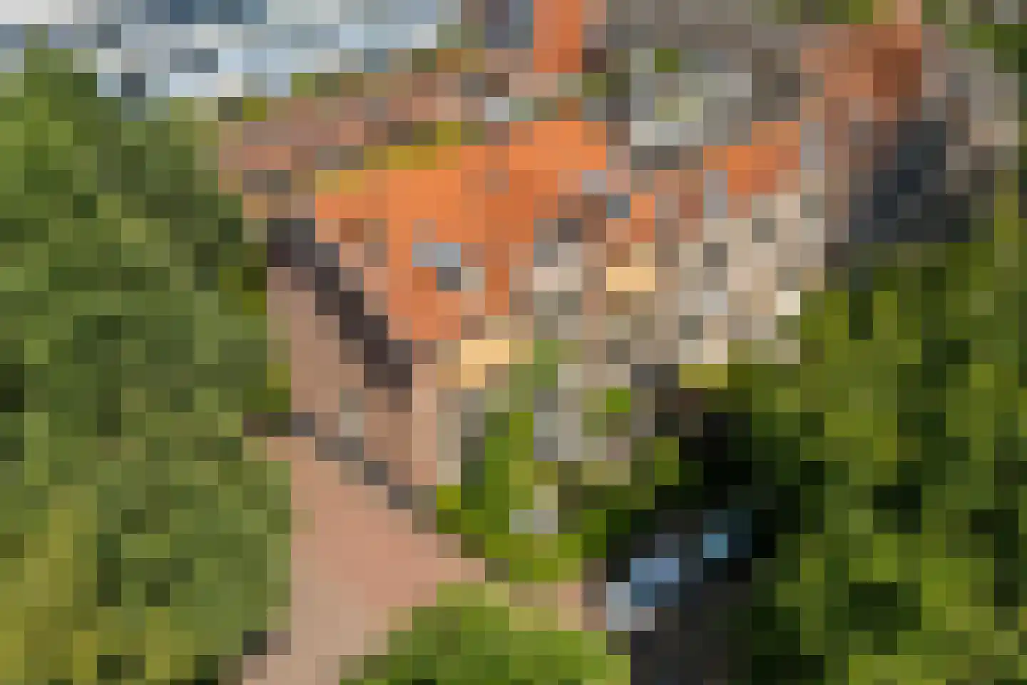 Stadsring 244 Amersfoort thumbnail 6