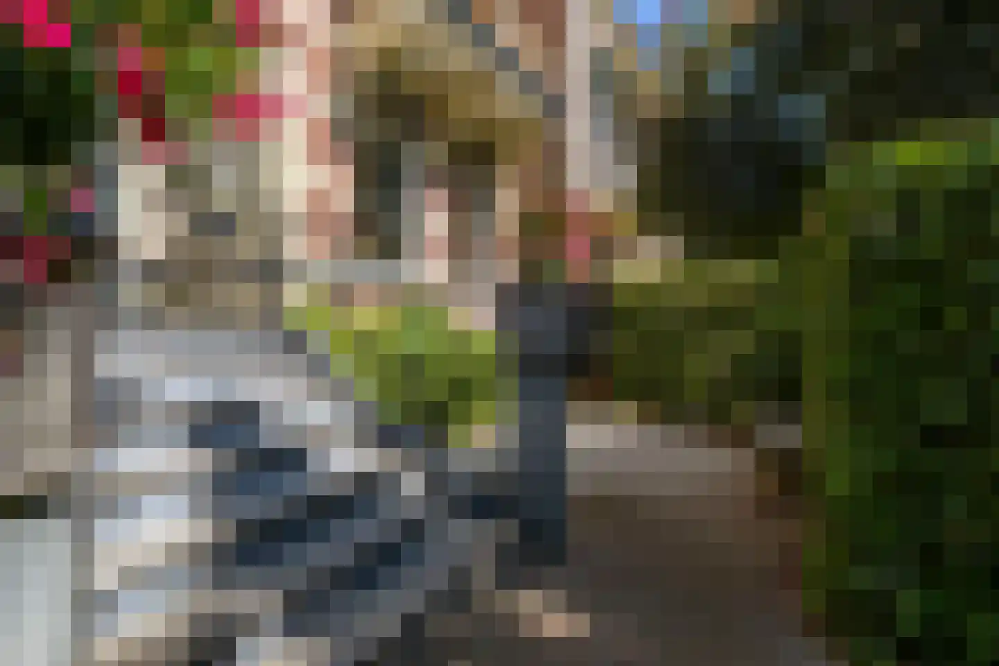 Stadsring 244 Amersfoort thumbnail 7