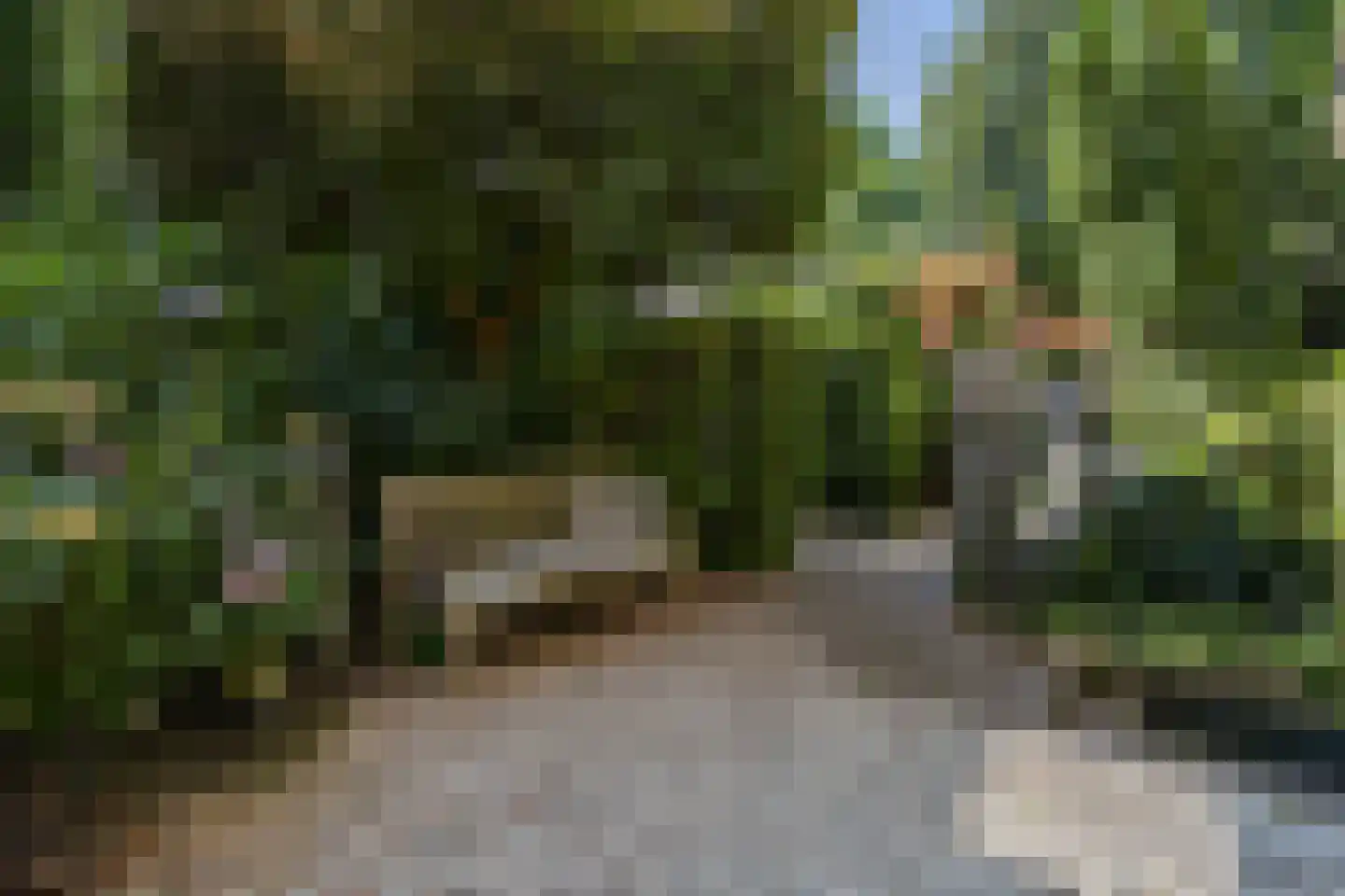 Stadsring 244 Amersfoort thumbnail 8