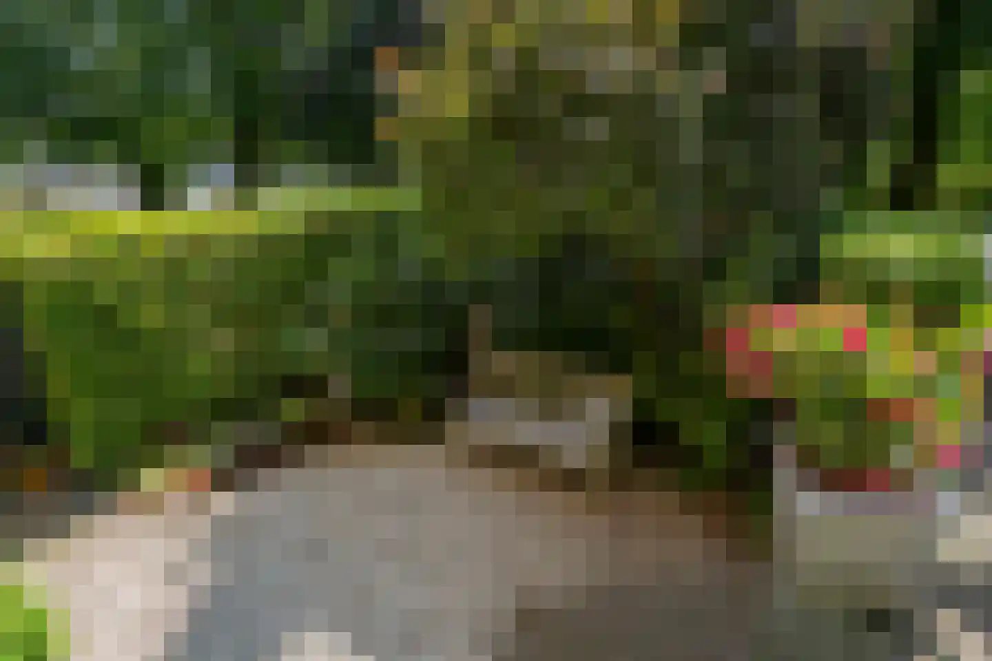 Stadsring 244 Amersfoort thumbnail 9