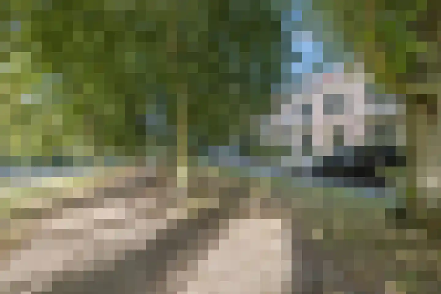Stadsring 246 Amersfoort thumbnail 63