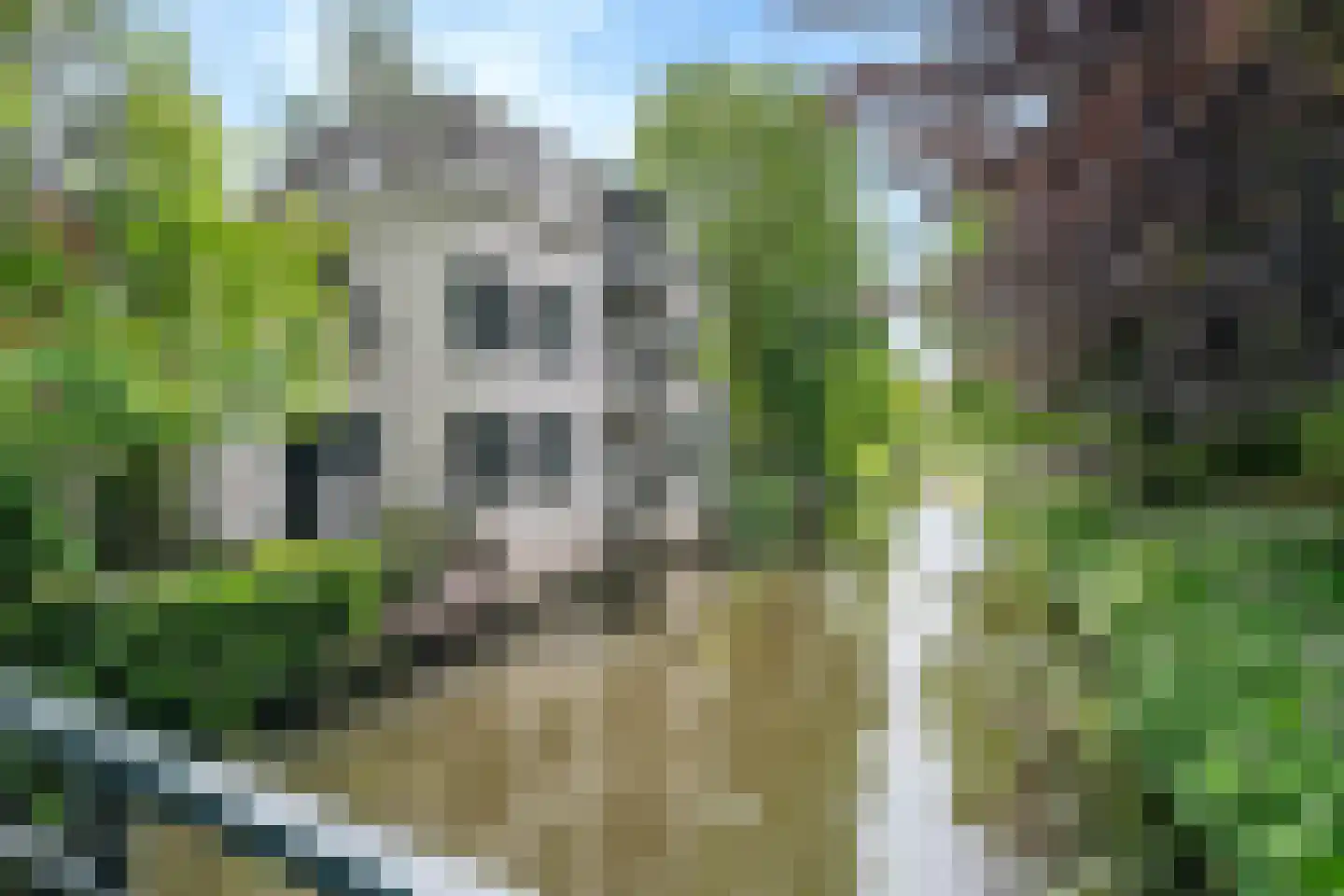 Stadsring 260 A Amersfoort thumbnail 19
