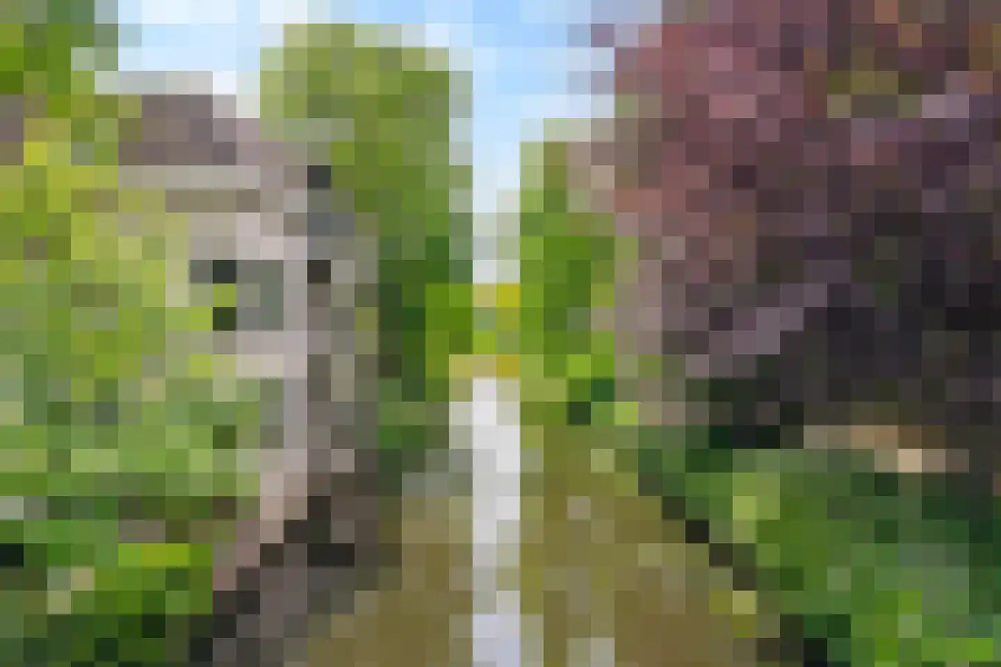 Stadsring 260 A Amersfoort thumbnail 21