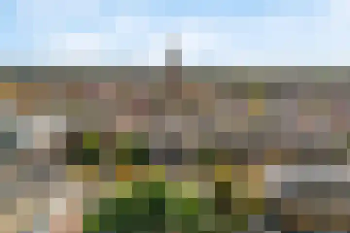 Stadsring 51 Amersfoort thumbnail 5
