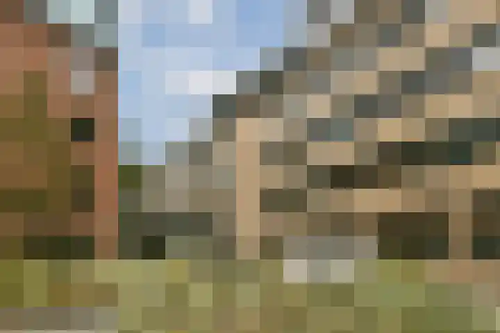 Stadsring 7 A Amersfoort thumbnail 31