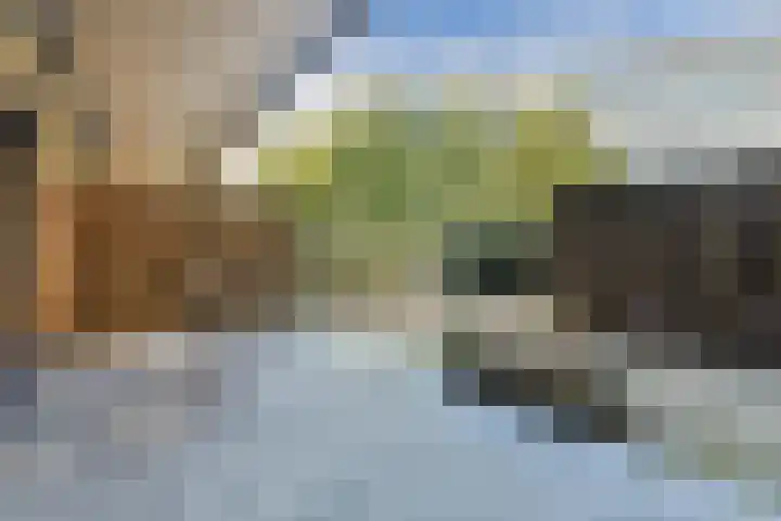 Stadsring 9 T Amersfoort thumbnail 5