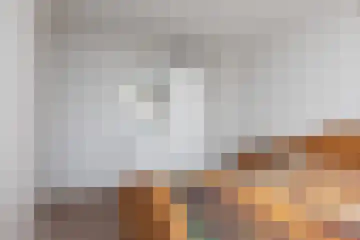 Stadsstreng 8 Bolsward thumbnail 17