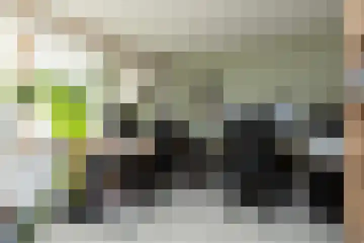 Stadsstreng 8 Bolsward thumbnail 18