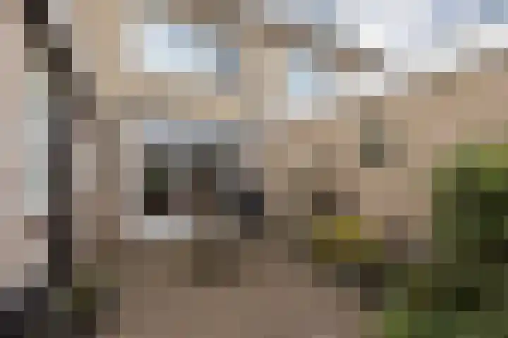 Stadsstreng 8 Bolsward thumbnail 37