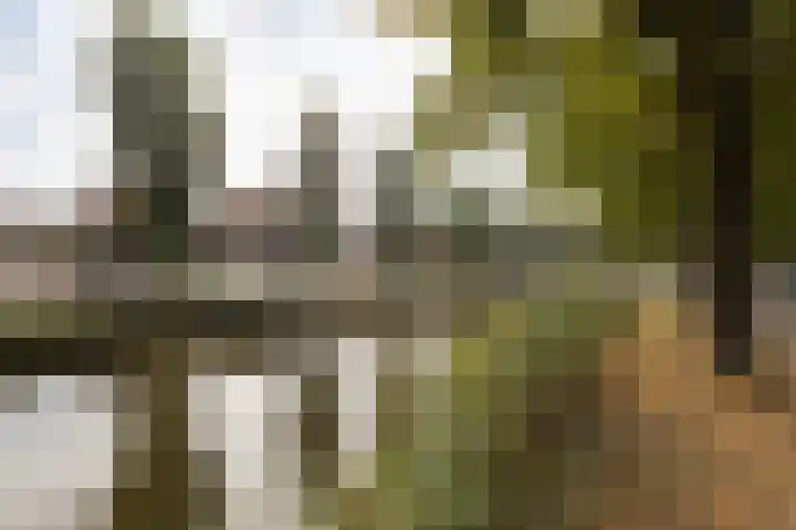 Stadsstreng 8 Bolsward thumbnail 4