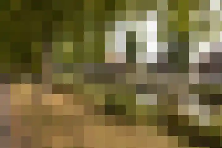 Stadsstreng 8 Bolsward thumbnail 42