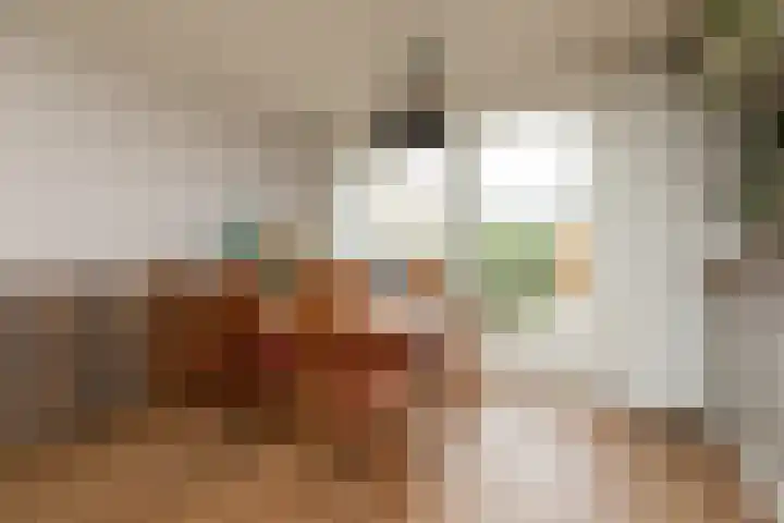 Stadsstreng 8 Bolsward thumbnail 8