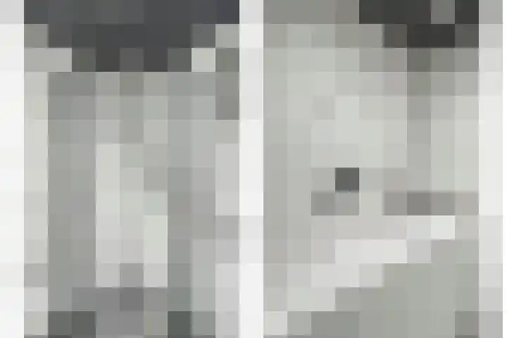 Stadstuinen 10 Den Haag thumbnail 13