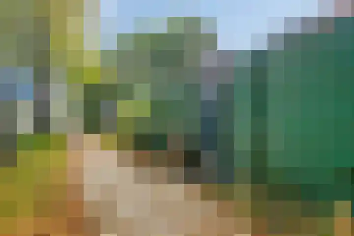 Stadstuinen 10 Den Haag thumbnail 15