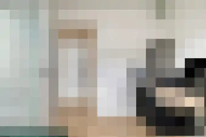 Stadstuinen 10 Den Haag thumbnail 18
