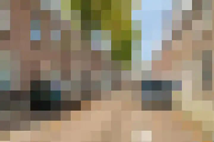 Stadstuinen 10 Den Haag thumbnail 26