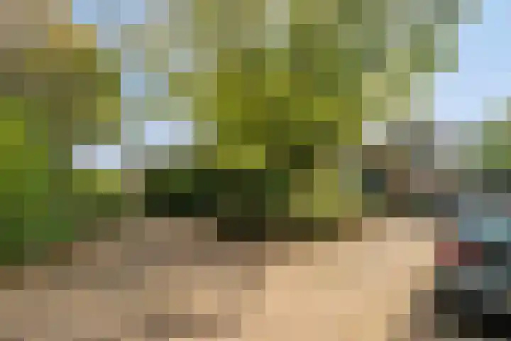 Stadstuinen 10 Den Haag thumbnail 27