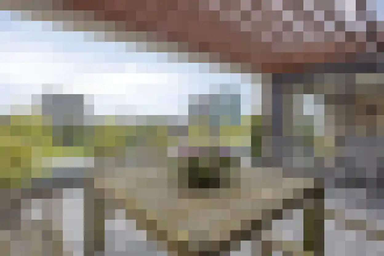 Stadstuinen 111 Amstelveen thumbnail 27