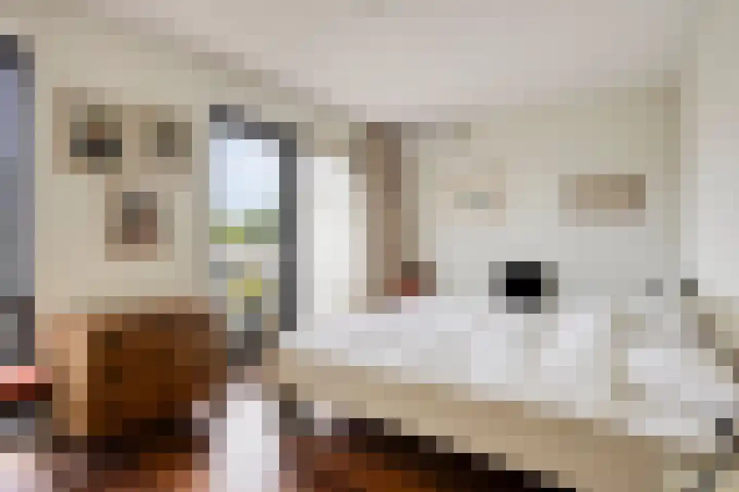 Stadstuinen 111 Amstelveen thumbnail 33
