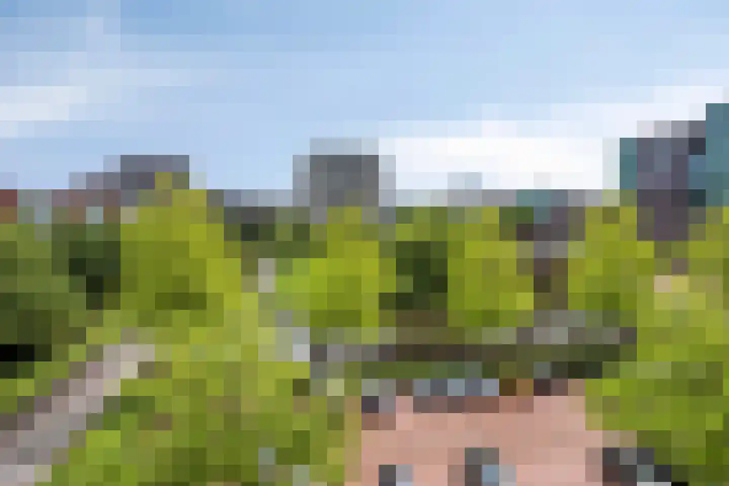 Stadstuinen 111 Amstelveen thumbnail 4