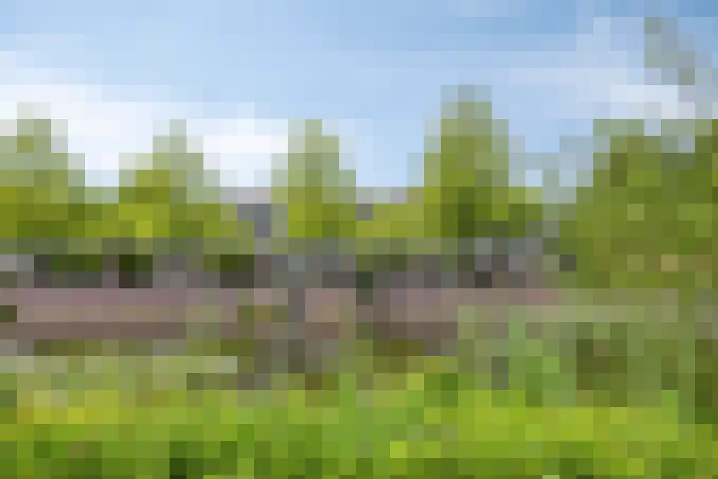 Stadstuinen 111 Amstelveen thumbnail 45