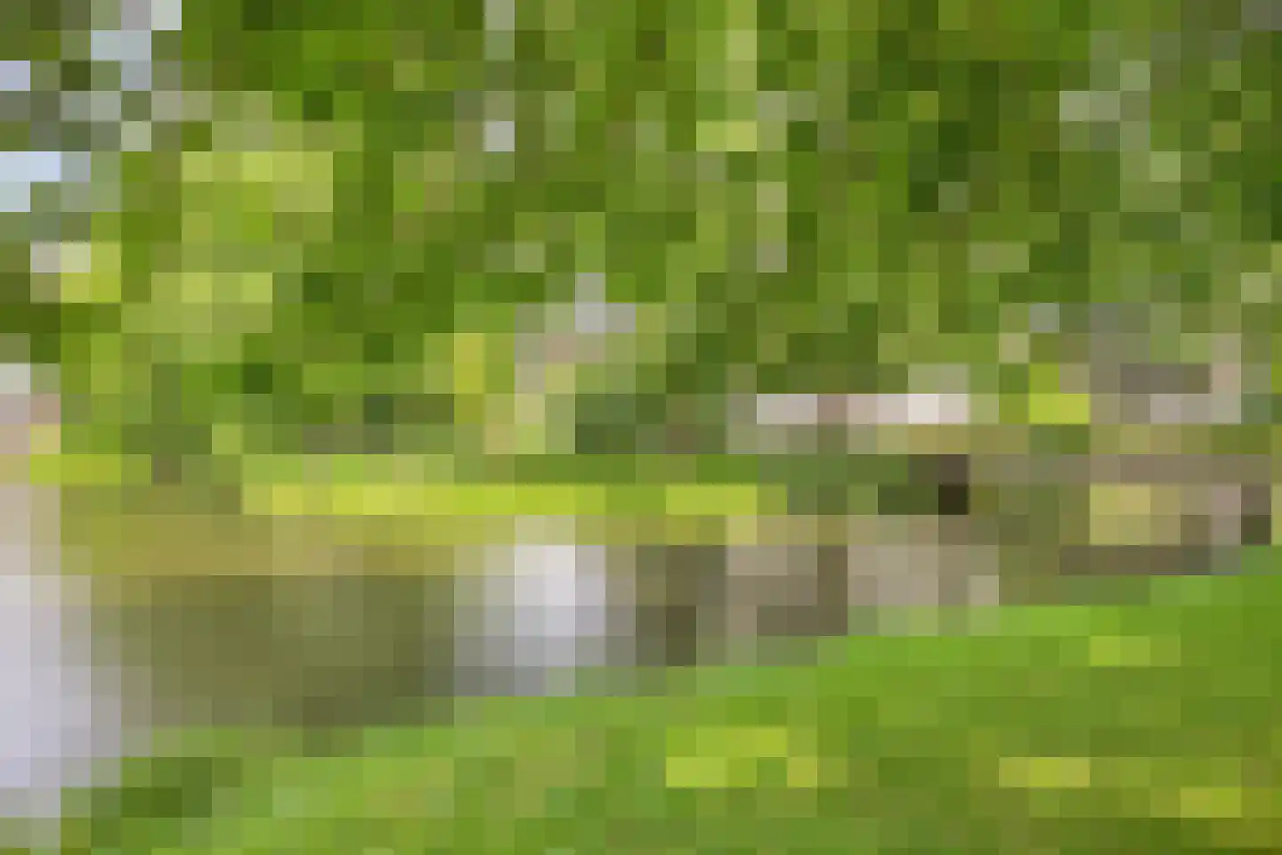 Stadstuinen 111 Amstelveen thumbnail 60