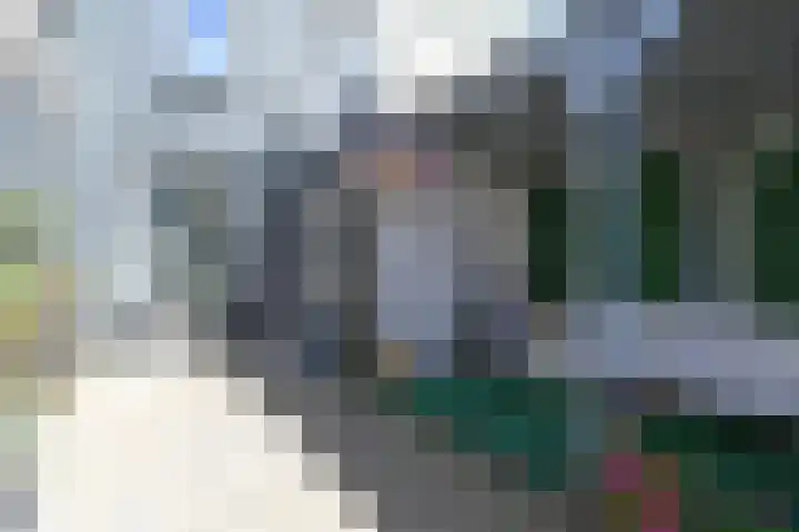Stadstuinen 31 Den Haag thumbnail 13