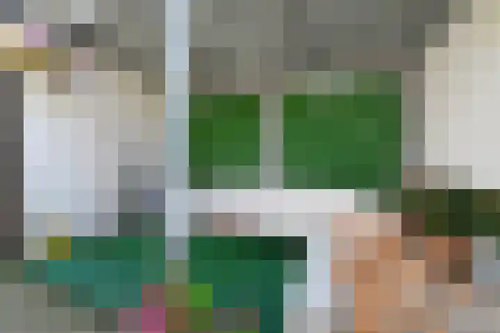 Stadstuinen 31 Den Haag thumbnail 15
