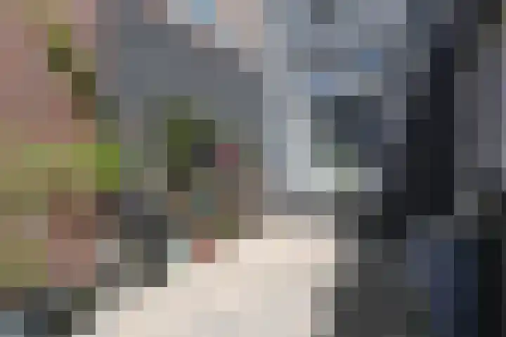 Stadstuinen 31 Den Haag thumbnail 17
