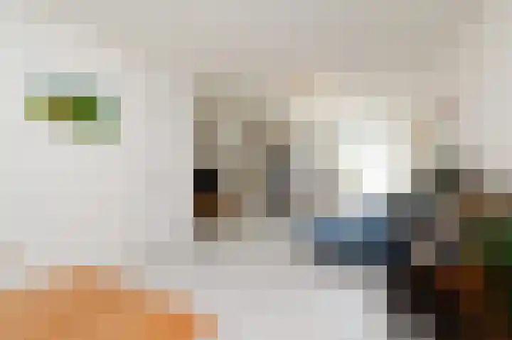 Stadstuinen 31 Den Haag thumbnail 4