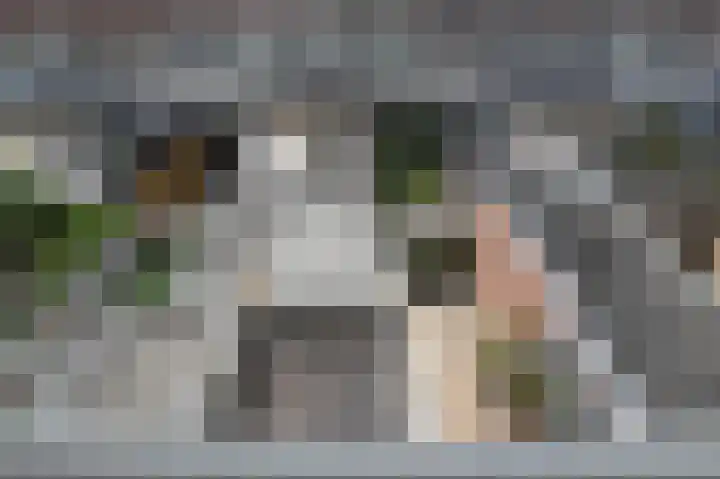 Stadstuinen 31 Den Haag thumbnail 46