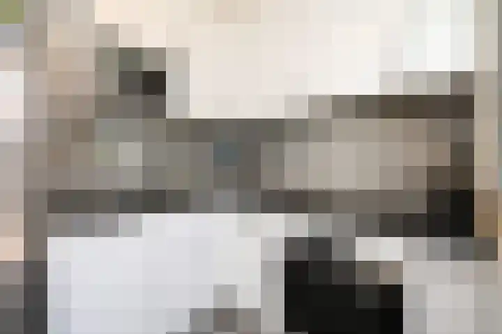 Stadstuinen 31 Den Haag thumbnail 7
