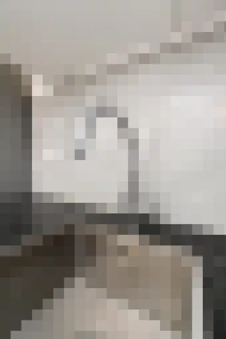 Stadstuinen 31 Den Haag thumbnail 9