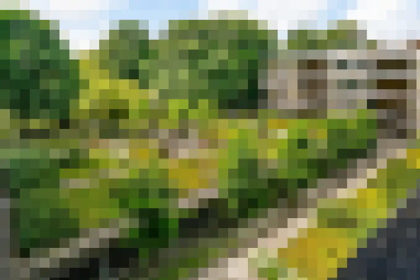 Stadstuinen 51 Amstelveen thumbnail 24