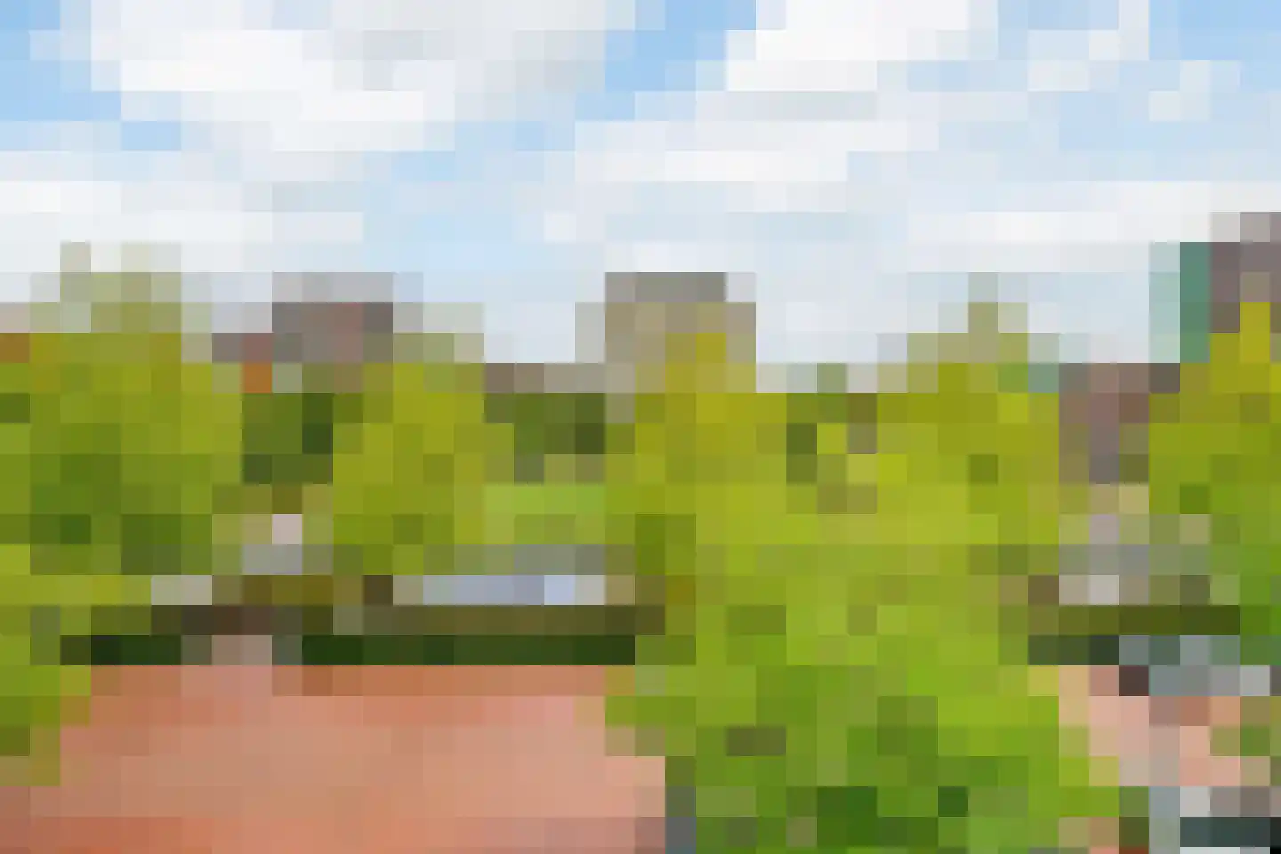 Stadstuinen 51 Amstelveen thumbnail 34