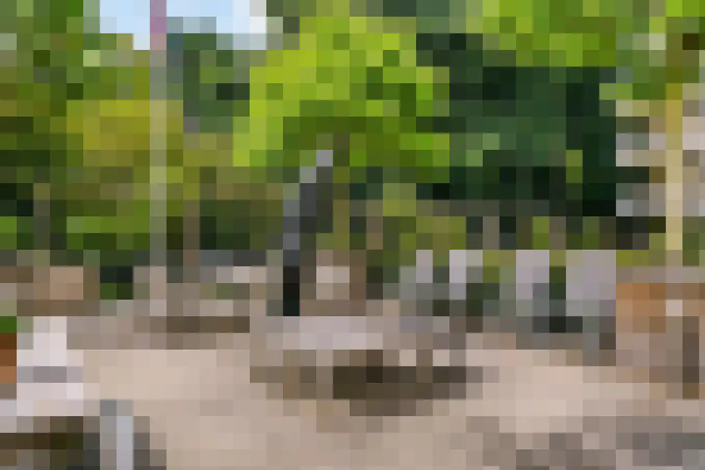 Stadstuinen 51 Amstelveen thumbnail 36