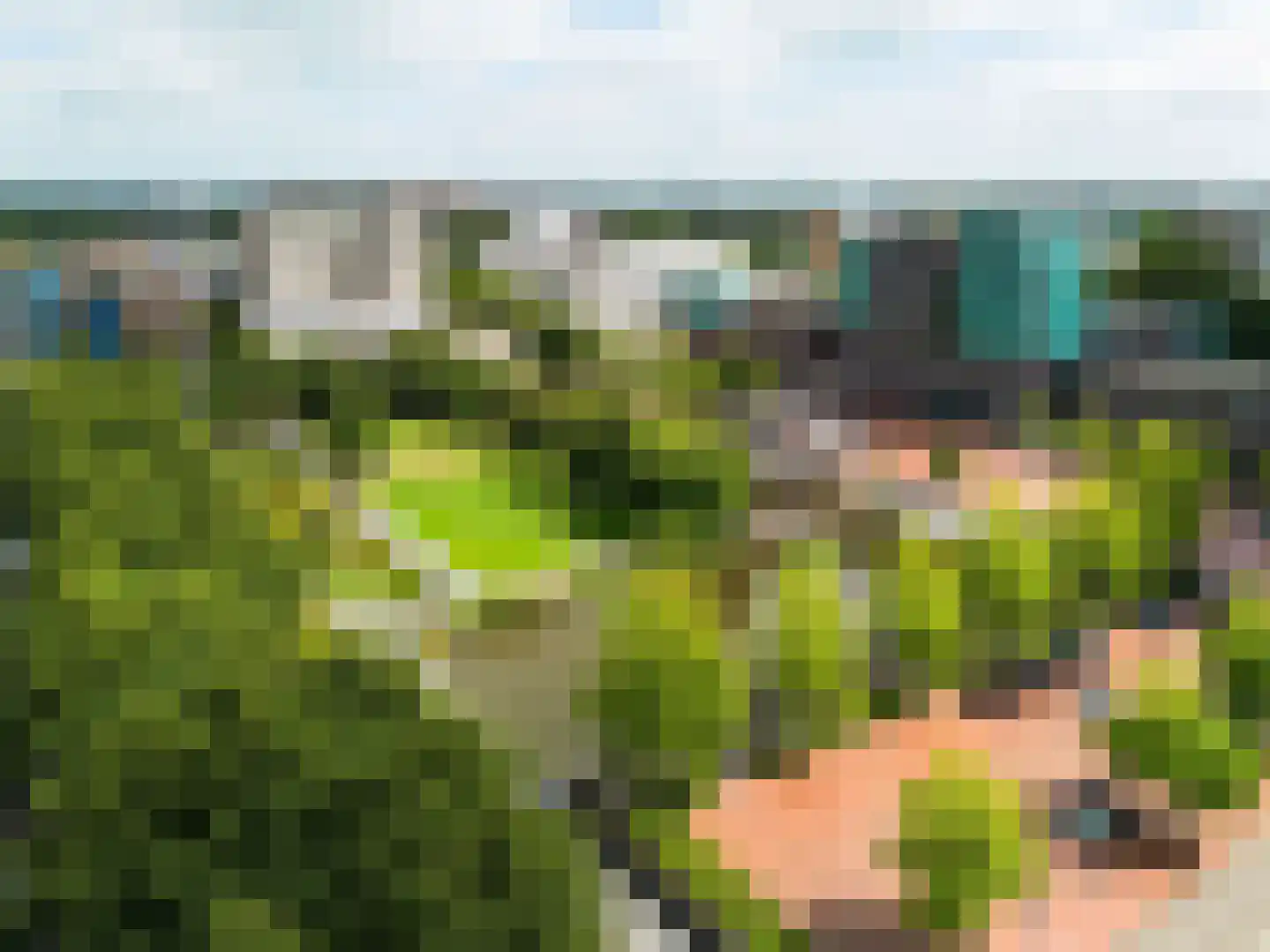 Stadstuinen 51 Amstelveen thumbnail 41
