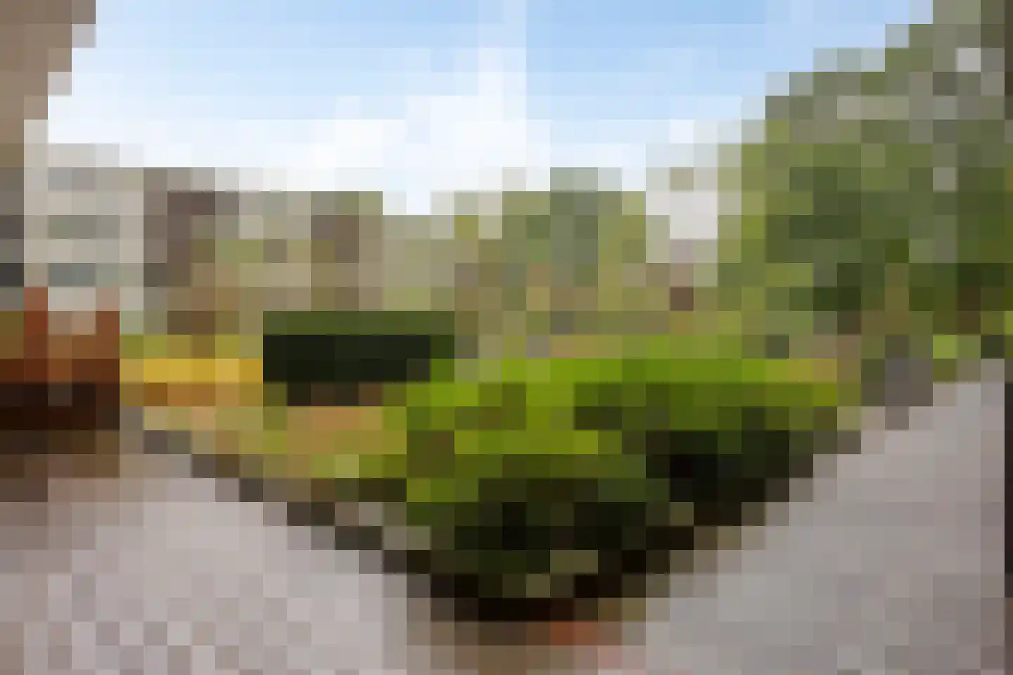 Stadstuinen 63 Amstelveen thumbnail 29