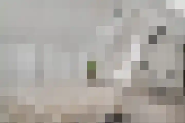 Stadstuinen 7 Wessem thumbnail 4