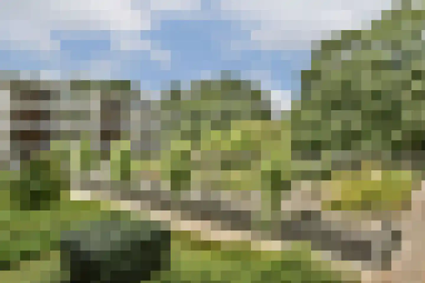 Stadstuinen 71 Amstelveen thumbnail 30