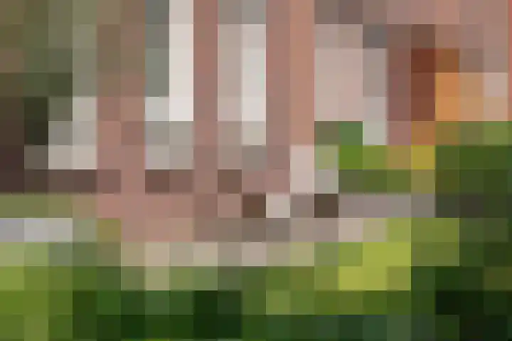 Stadswaardenlaan 19 Arnhem thumbnail 41