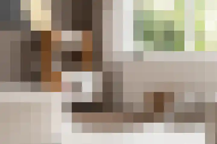 Stadswaardenlaan 19 Arnhem thumbnail 6