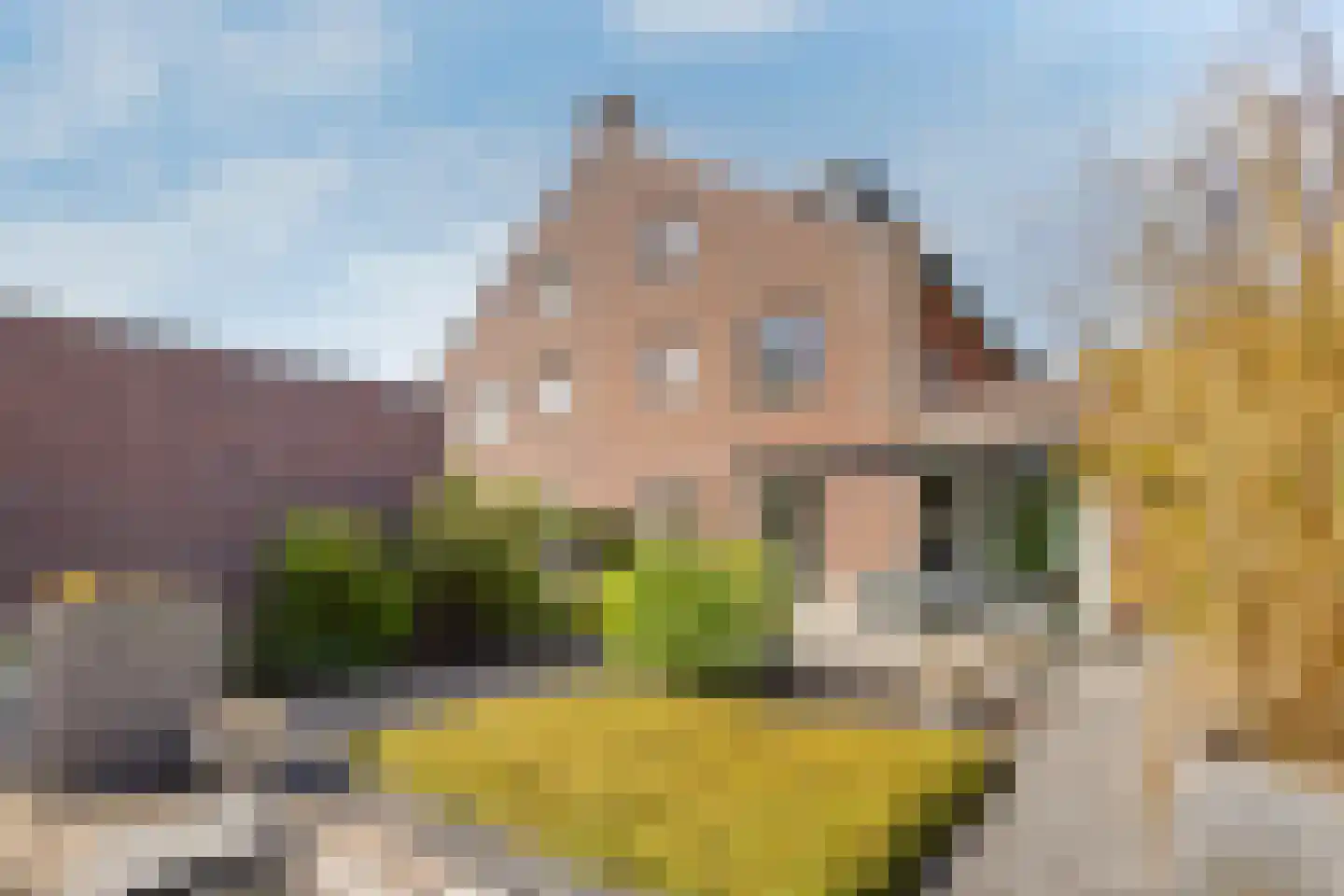 Stadswaardenlaan 28 Arnhem thumbnail 39