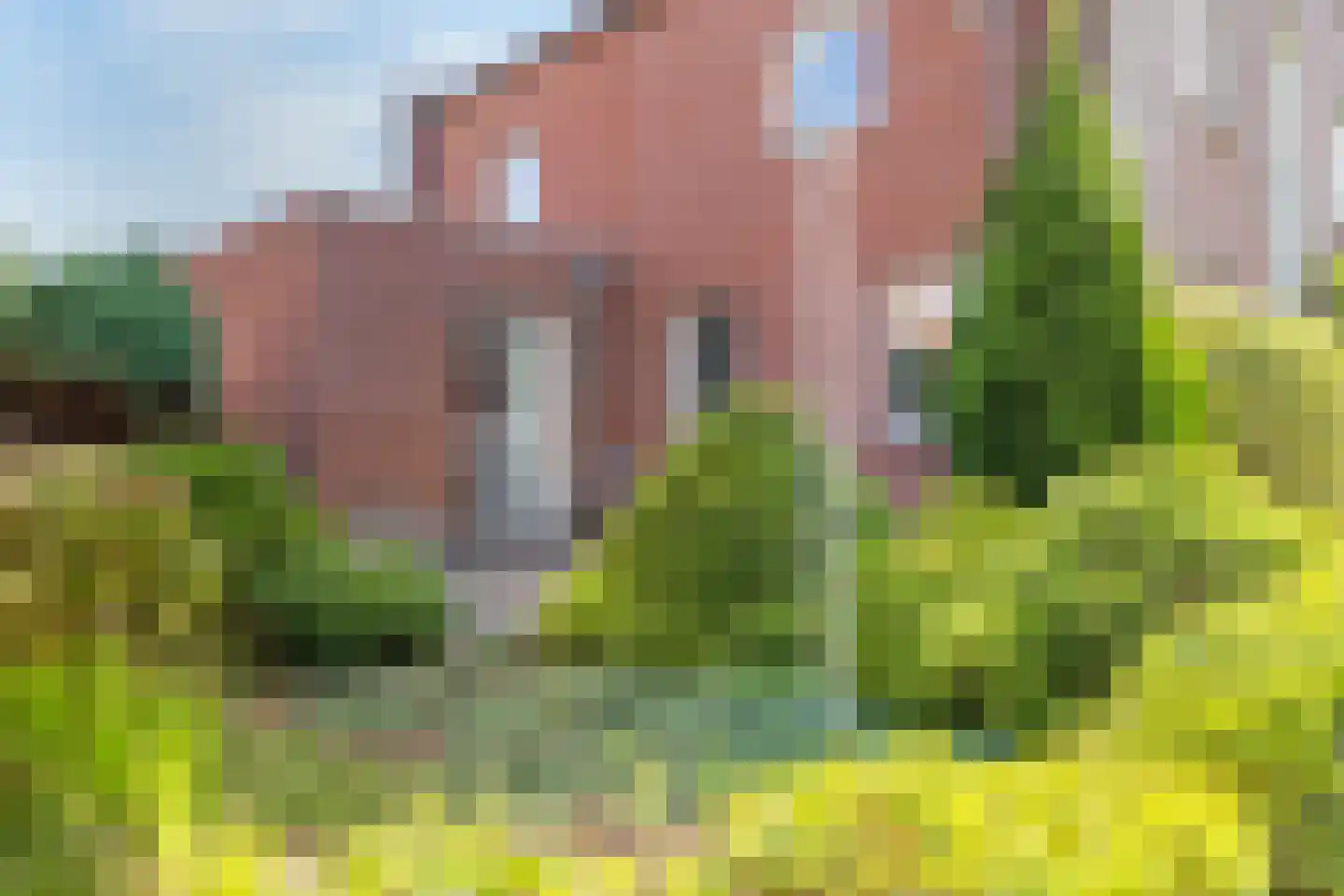 Stadswaardenlaan 28 Arnhem thumbnail 48